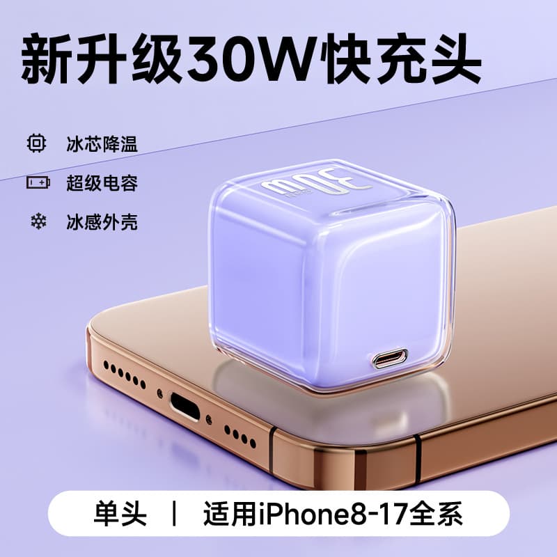 30W GaN USB-C Fast Charger  -  Lavender