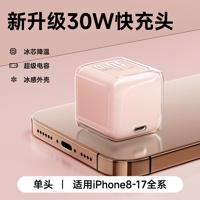 30W GaN USB-C Fast Charger  -  Rose